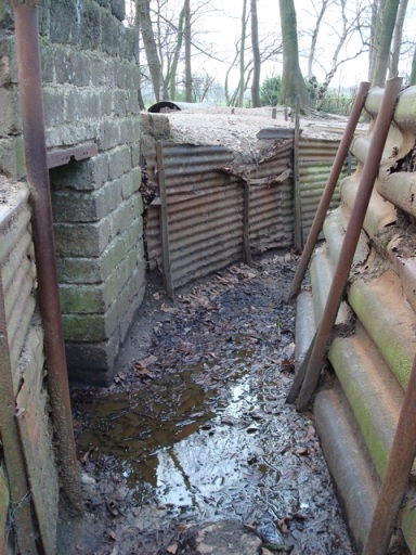 Preserved trenches at Sanctuary Wood Museum