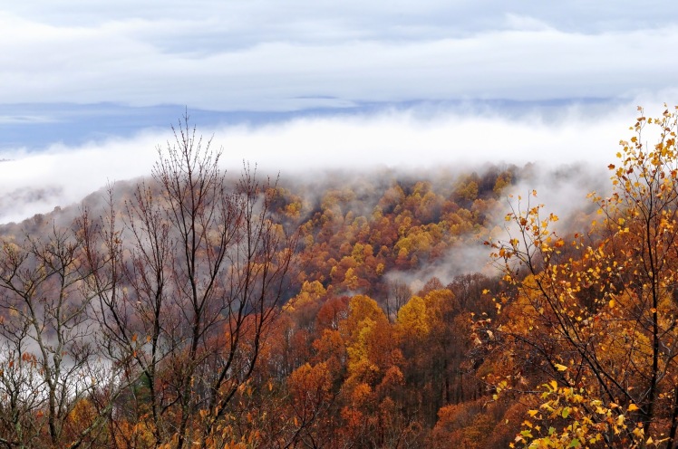 "Fall Rain in the Blue Ridge Mountains"